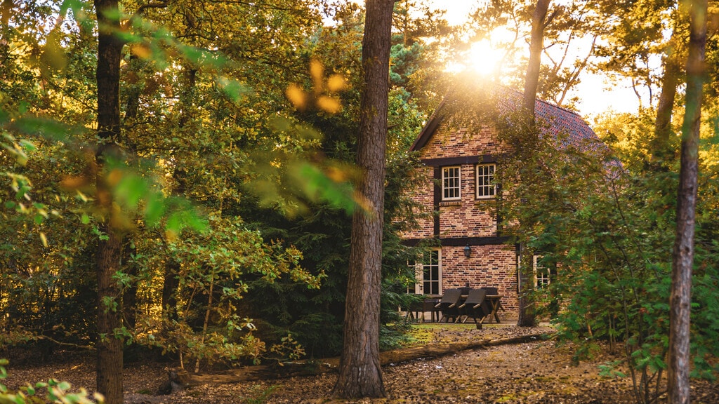 Boshuys in Golden Hour