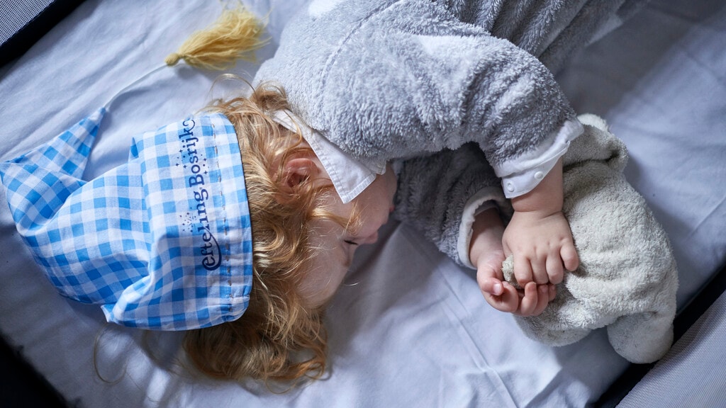 Slapend kindje met een slaapmuts op van Efteling Bosrijk