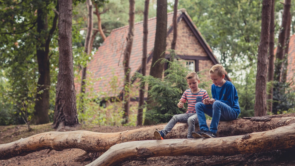 Broers op een boomstronk tussen de bomen in Efteling Bosrijk