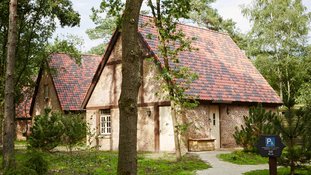 Het paadje naar een 8 persoons Boshuys in Efteling Bosrijk