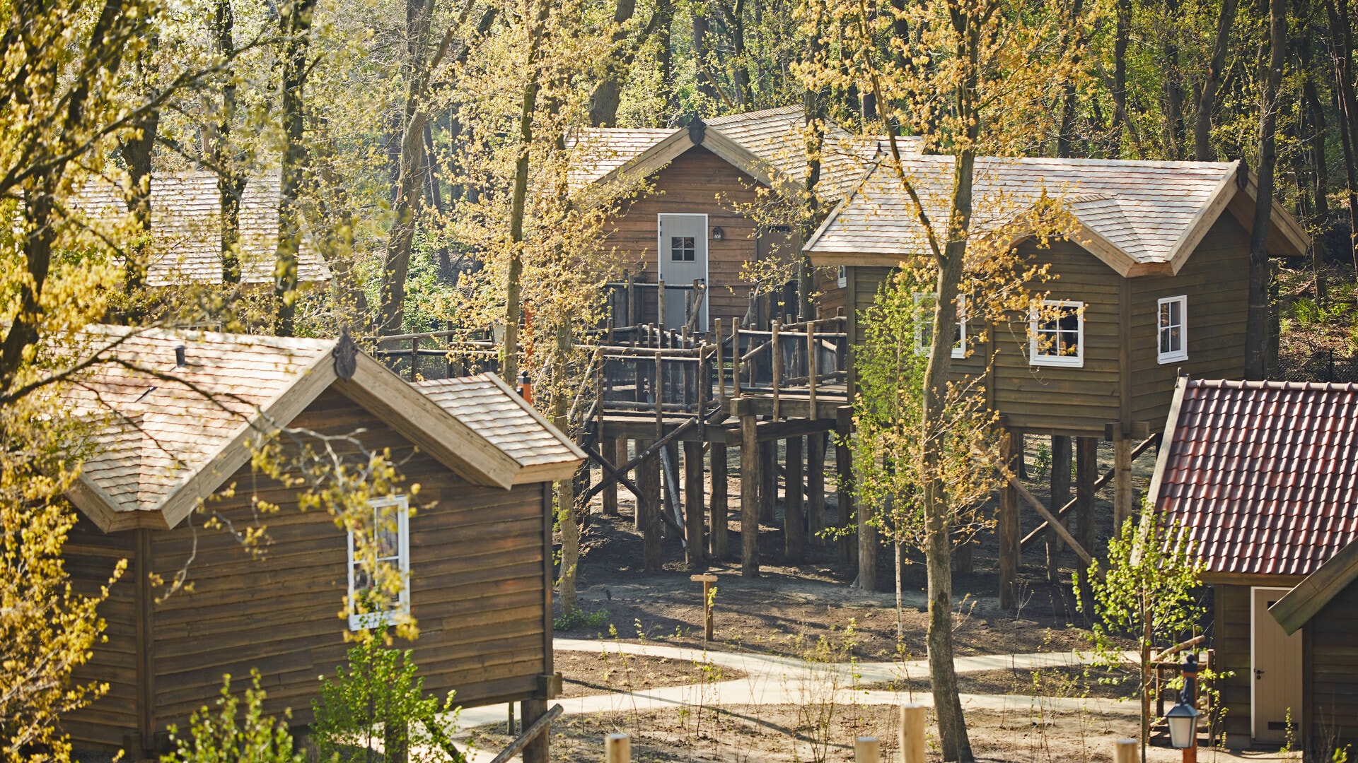 Overzicht van alle comfortkamers tussen de boomtoppen in het Loonsche Land van de Efteling