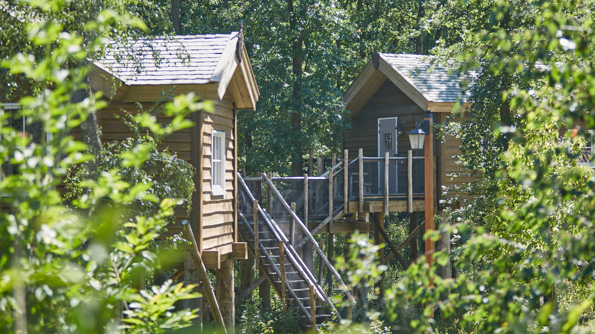 Buitenaanzicht van comfortkamers tussen de bomen in Efteling Loonsche Land