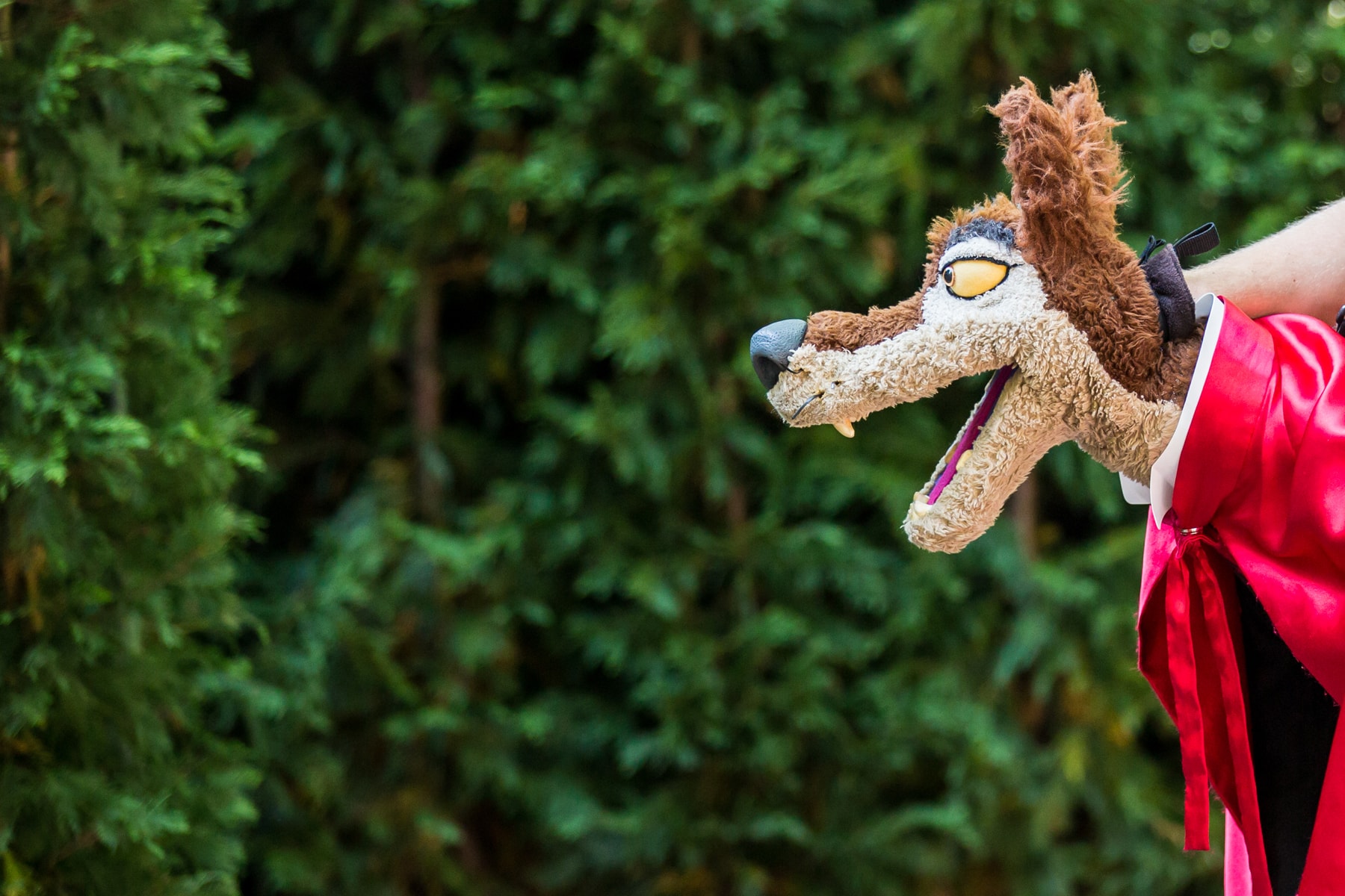 Wolf uit de Sprookjesboomshow kijkt met open bek tussen het groen in Efteling Park.