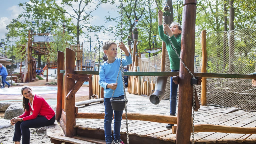 Dragon made of wood from the forest - Playground