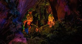 Bosgeesten bij een kampvuur in Droomvlucht