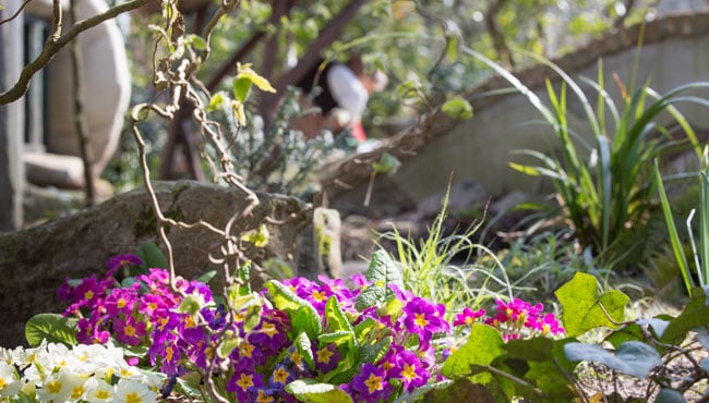 Bloemen Sprookjesbos