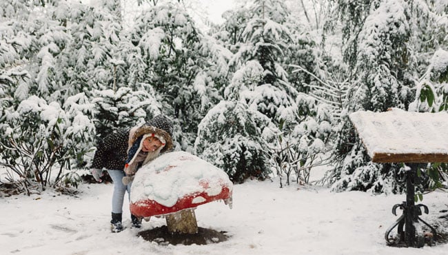 Paddenstoel Sprookjesbos in Sneeuw