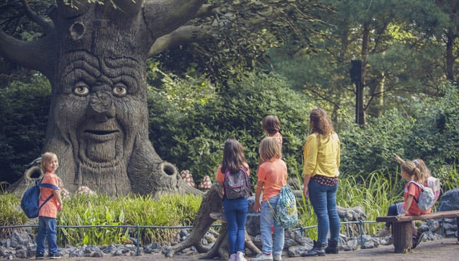 Sprookjesboom in het Sprookjesbos