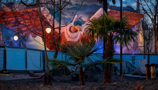 Wereld van Sindbad - palmbomen nacht