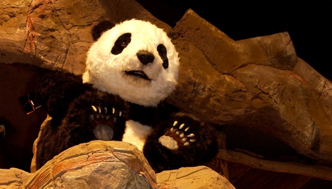 Panda Tjin Ling tijdens de bouw.
