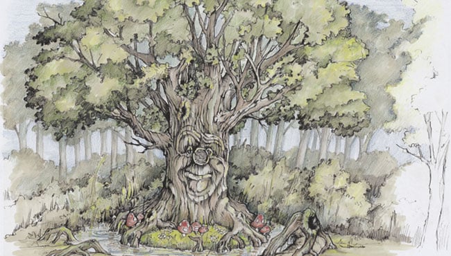 uitgewerkte tekening sprookjesboom