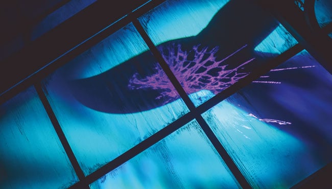 Fabelvis in de scène Botanicum in familie-attractie Symbolica.