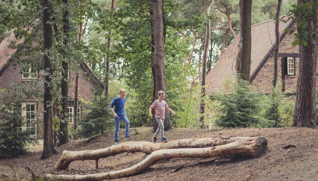 Broers lopen over boomstronk