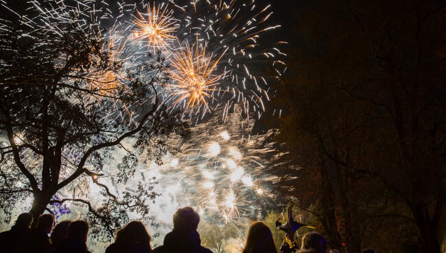 Vuurwerk op de siervijver