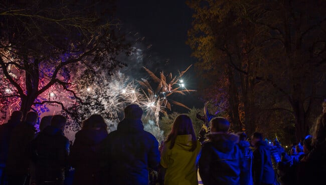 Vuurwerk op de Siervijver