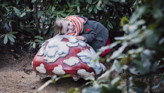 Meisje bij paddenstoel