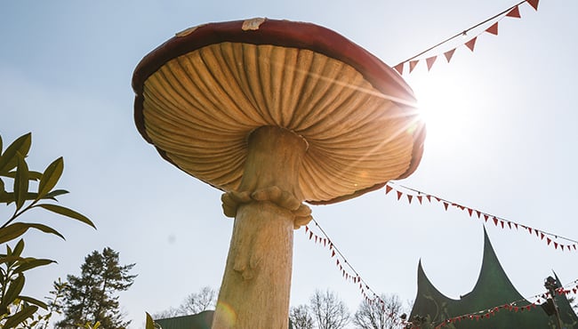  Efteling Wonderland - grote paddenstoel in de zon