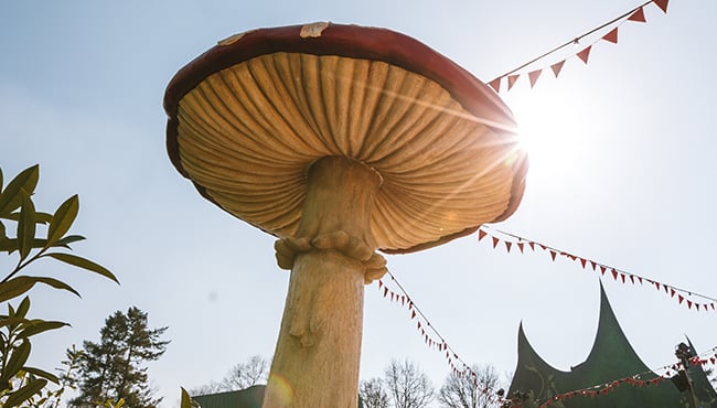 Efteling Wonderland - grote paddenstoel in de zon