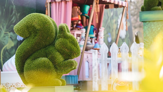 Efteling Wonderland - groene eekhoorn in de moestuin van de Maartse Haas