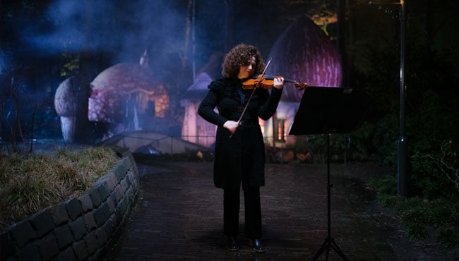Violiste van Efteling in Concert