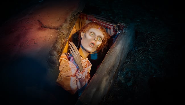 Spookslot interieur vrouw uit kist