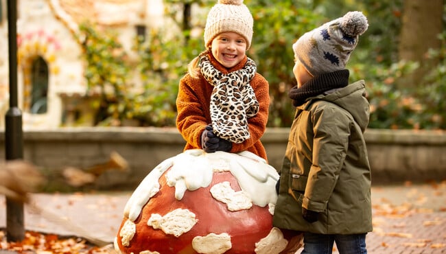 Zelfs de muzikale paddenstoelen hebben een laagje sneeuw gekregen