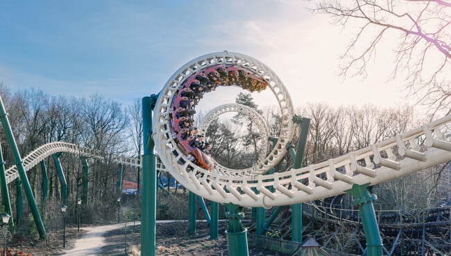 Python in de winter