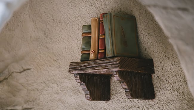 Detailfoto van een boekenplank bij het Paddenstoelendorp in het Sprookjesbos