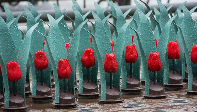 Tulpen voor het Efteling sprookje de Fakir