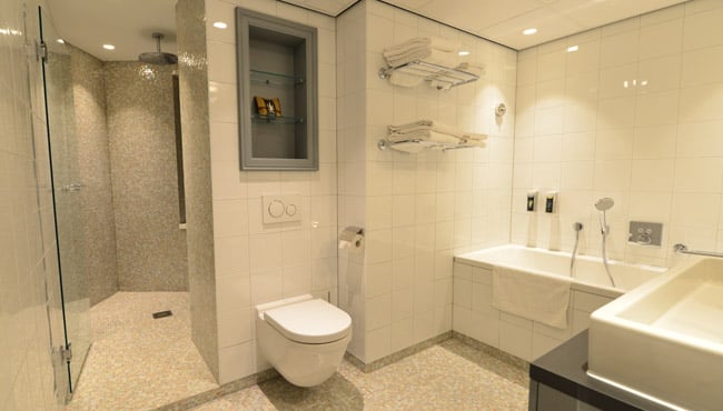 Toilet en douche in de Hans en Grietje themasuite.