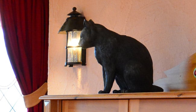 Ook de zwarte kat is terug te vinden.