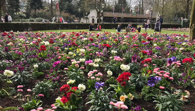 Bloemen op het Ton van de Ven Plein