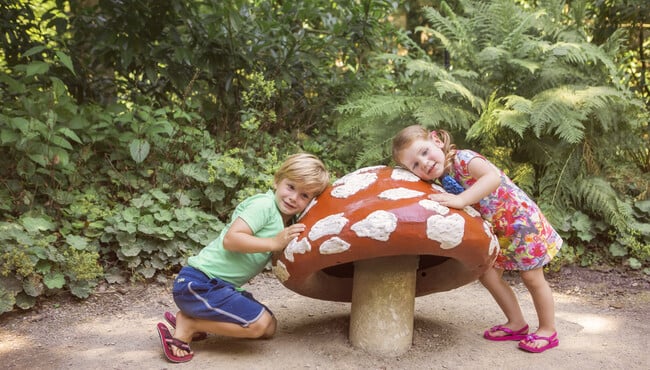 De nieuwe muzikale paddenstoel pin van de Efteling