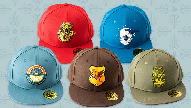 Efteling achtbanen caps
