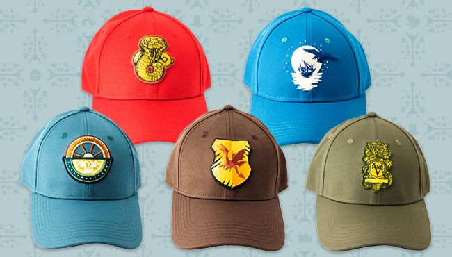 Efteling achtbanen caps