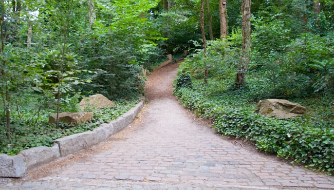 Bospaadje tegenover PandaDroom.