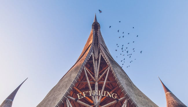 Vogels bij Het Huis van de Vijf Zintuigen.