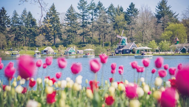 Tulpen in bloei met de Gondoletta en Traptreintjes op de achtergrond