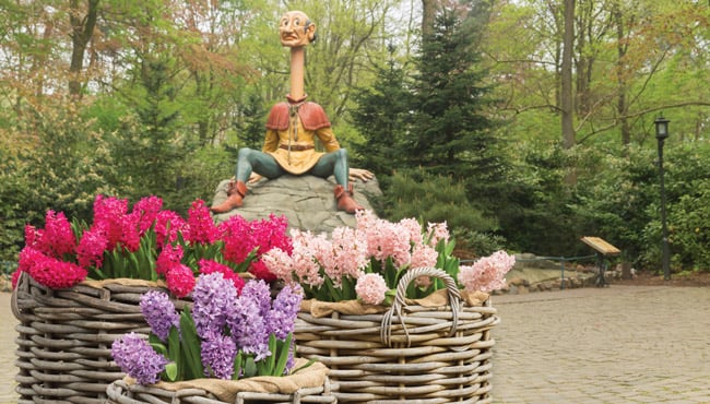 De bloemen staan in bloei bij Langnek