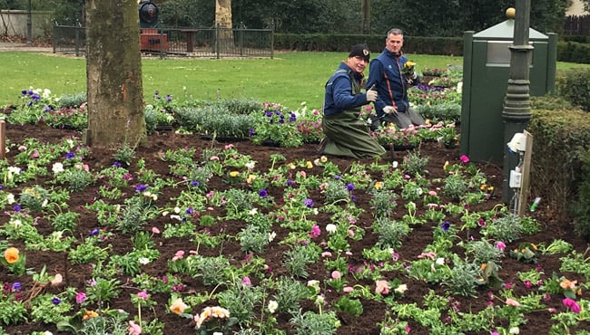 Hoveniers planten bloemetjes in de Efteling.