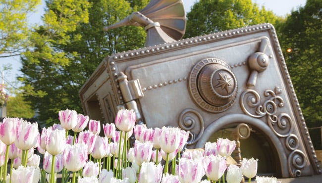 Pinautomaat bij de hoofdentree in de Efteling