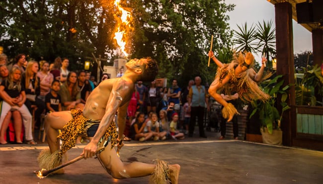 Capoeira tijdens het Negen Pleinen Festijn