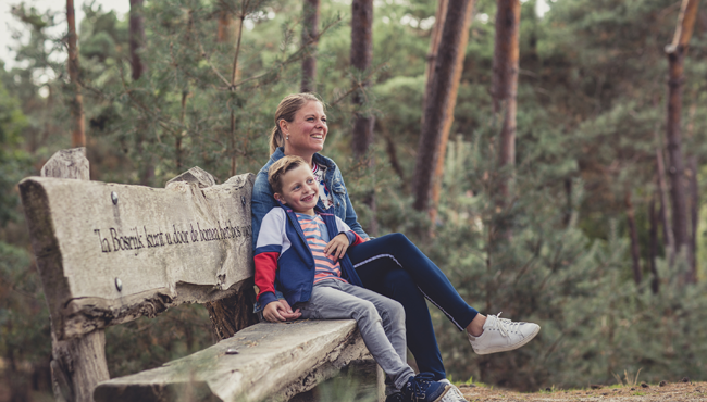Ga gezellig wandelen door Bosrijk  en neem een pauze op één van de natuurlijke bankjes.