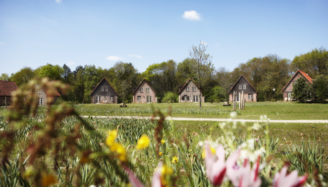 De mooie huysen van Efteling Bosrijk staan in een natuurlijke, bosrijke omgeving en bieden een oase aan rust en ruimte.