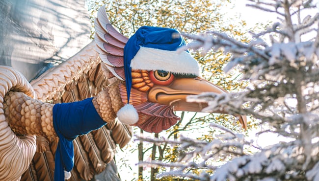 Ook Vogel Rok heeft een winterse outfit!