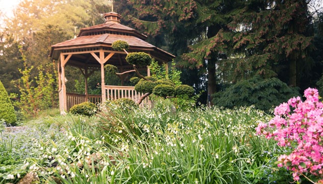 Japanse tuin