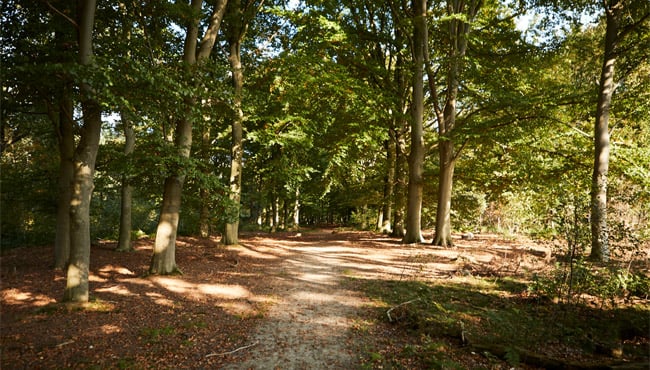 Natuurgebied Loonsche Land