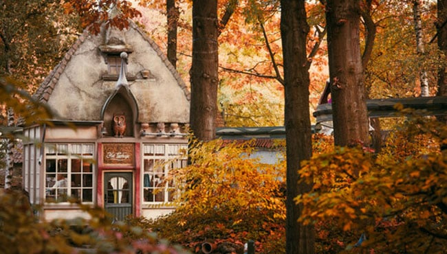 Volk van laaf herfst