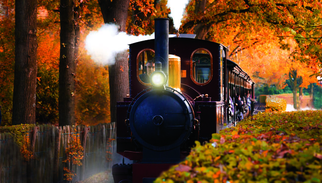 De Stoomtrein in de herfst