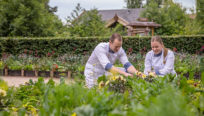 Koks plukken ingrediënten uit een tuin in Efteling Loonsche Land.